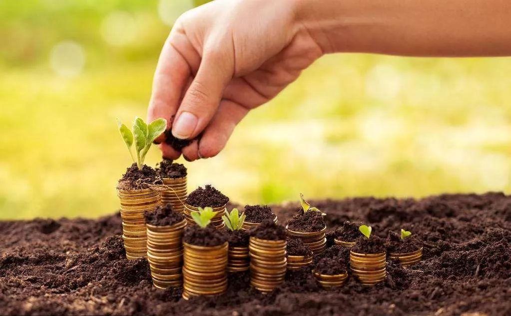 2020年中国农业食品投资报告年报